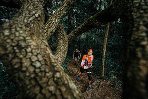 BIB: 
                            <button type="button" onclick="openModal(25699935)" class="btn btn-primary btn-sm float-right btn-popup" data-toggle="modal" data-target=".modal-high-quality">
                        <i class="fas fa-shopping-cart"></i> Add to Cart
                    </button>
                                            <button type="button" onclick="isThisMe(25699935, true)" class="btn btn-success btn-sm float-right btn-popup btn-isme hidden" data-toggle="tooltip" data-placement="bottom" title="นี่คือรูปของคุณใช่ไหม คลิกที่นี่เพื่อเอาเข้าอัลบั้ม">
                        <i class="fas fa-plus"></i> Add to album
                    </button>
                    <button type="button" onclick="isThisMe(25699935, false)" class="btn btn-warning btn-sm float-right btn-popup btn-isnotme hidden">
                        <i class="fas fa-ban"></i> Remove from album
                    </button>